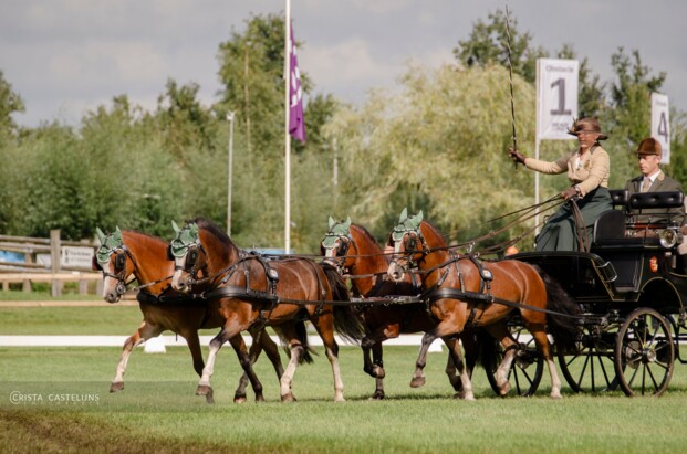 Tinne Bax wordt derde in de dressuur op het WK in Oirschot - Foto: Crista Castelijns Tinne Bax wordt derde in de dressuur op het WK in Oirschot - Foto: Crista Castelijns