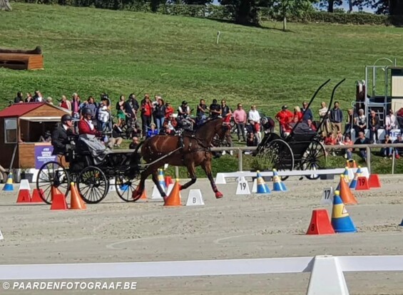 Laure Philippot met Galen V, Hanoveraan - 14 jaar - Foto: fb-pagina Laure Philippot