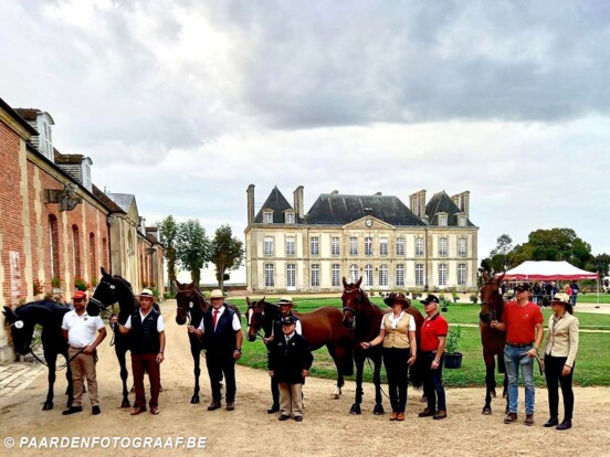 Belgisch ploeg in Haras du Pin (foto fb Laure Philippot)