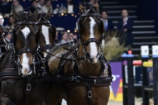 Dries Degrieck pakt zilver in Wereldbeker CAI-W Genève : Nothing to add!