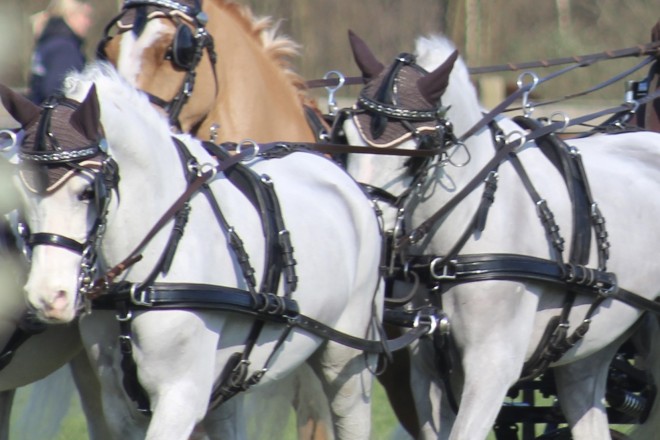 Mauro De Koker vergroot voorsprong met winst in marathon in Exloo