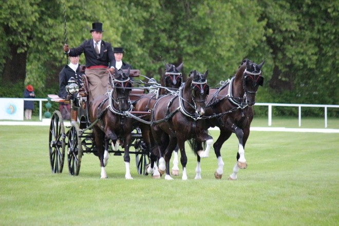Dubbel Goud in Windsor voor Dries Degrieck