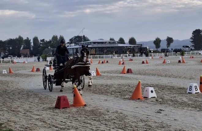 Belgische menners kleuren de podia tijdens CAI Le Touquet