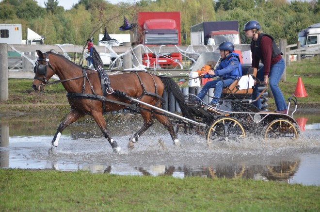 Jong talent en sterke combinaties sluiten outdoorseizoen af in Bornem