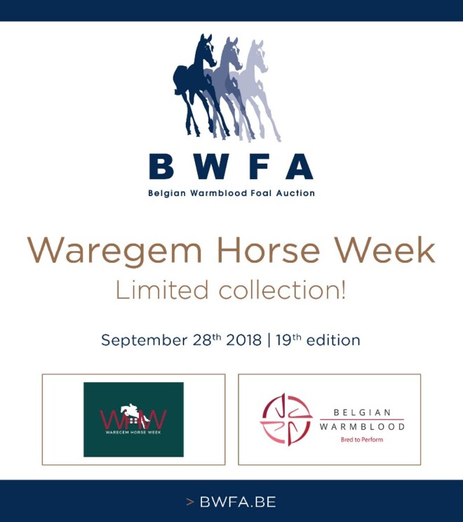 BWP, WHW en BWFA slaan de handen in elkaar!