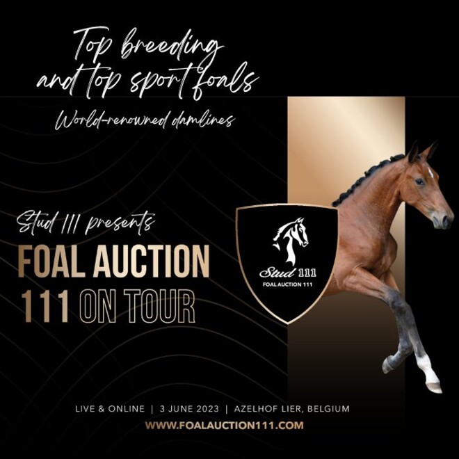 Foal Auction 111 presenteert 28 topgefokte veulens van internationale succesvolle moederlijnen!