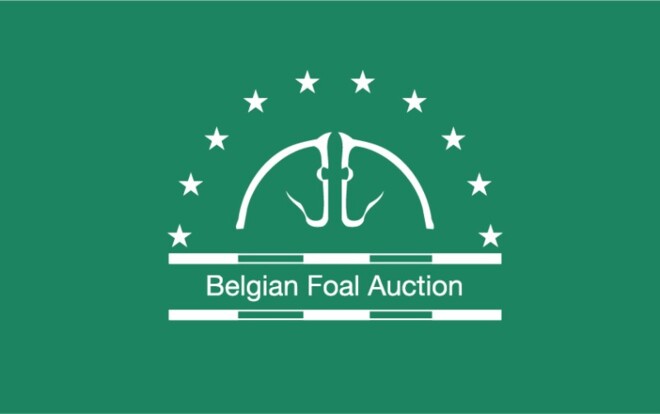 Belgian Foal Auction selecteert!