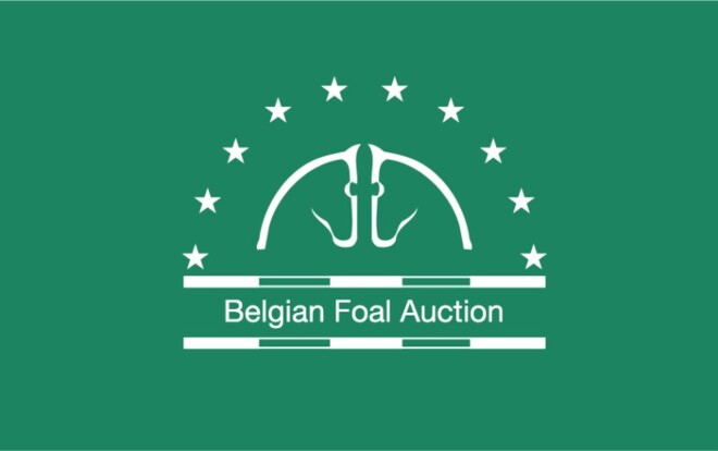 Belgian Foal Auction selecteert!