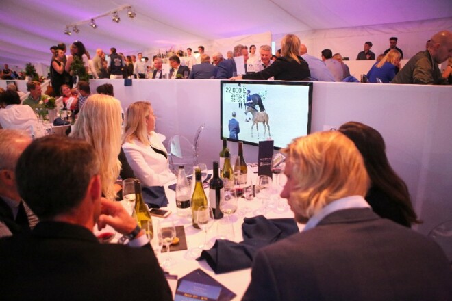 Bolesworth Elite Auction komt eraan