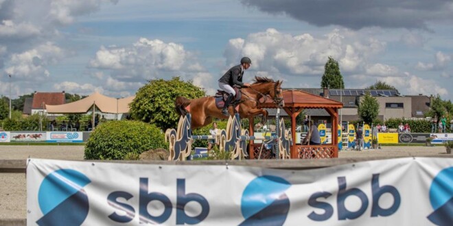 Sorrento van de Looise Heide en Noxx van de Molen zijn de nieuwe SBB-springkampioenen