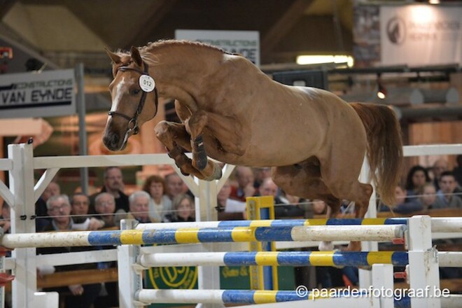 Eerste geselecteerden halve finale gekend