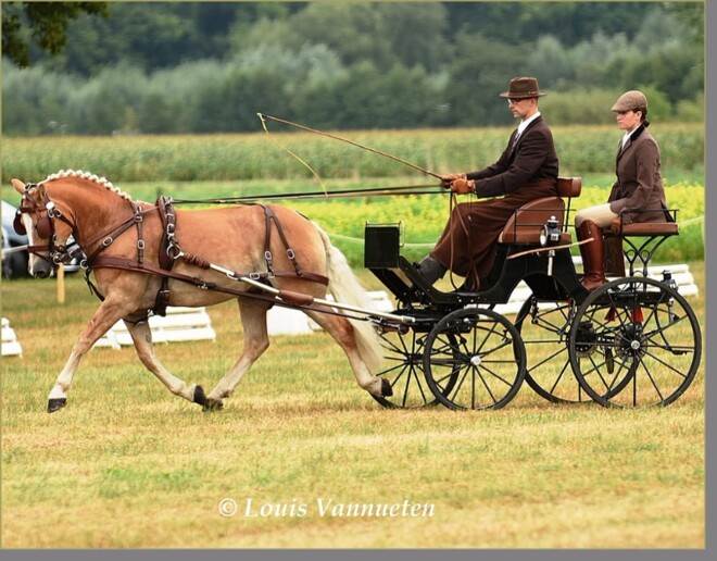 Dillenburg, Denny Schuddinck wint vaardigheid