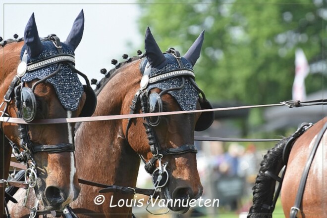 Valkenswaard, foto's dressuur