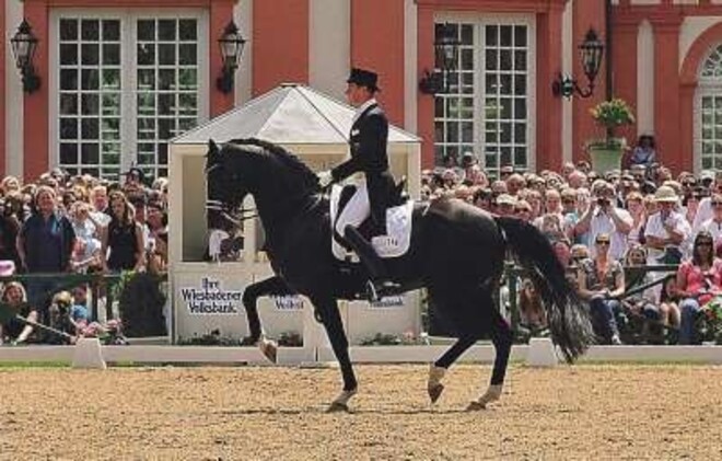 Wereldtop dressuur!
