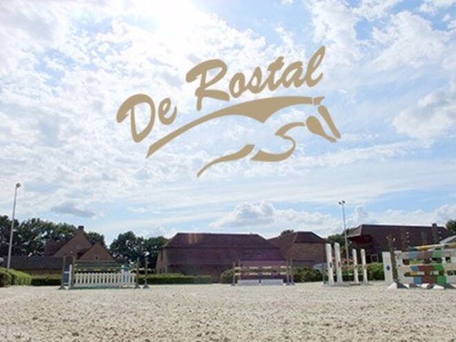 Rostal : thuis/wedstrijd groom gezocht
