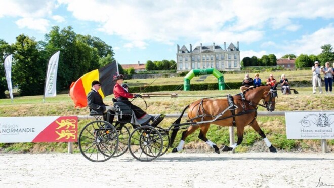 3 x Belgisch Volkslied in Le Pin au Haras