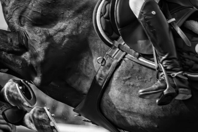 Nieuw Vlaams Jumping Reglement