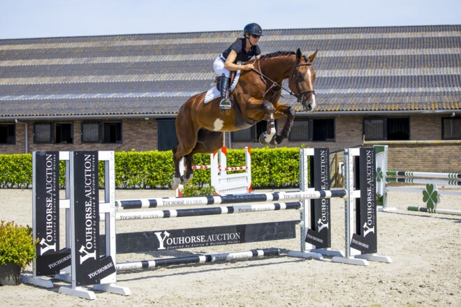 50.000 euro voor embryo Lizziemary in Youhorse.auction
