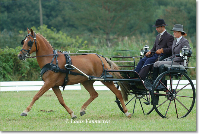 VLP, trainingsdag enkel- & dubbel - 8 maart