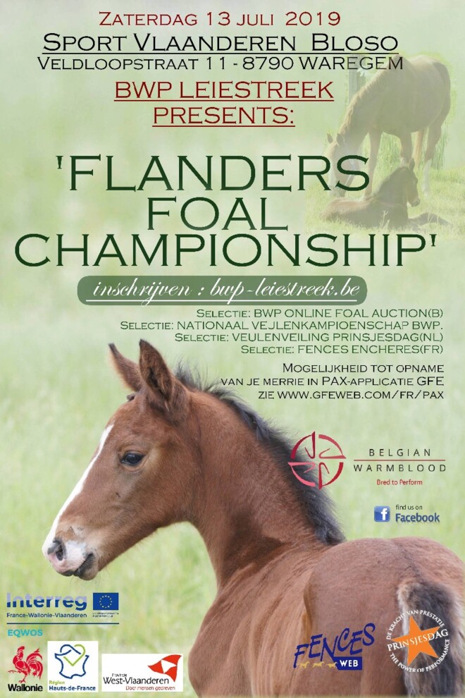 BWP Leiestreek: FLANDERS FOAL CHAMPIONSHIP