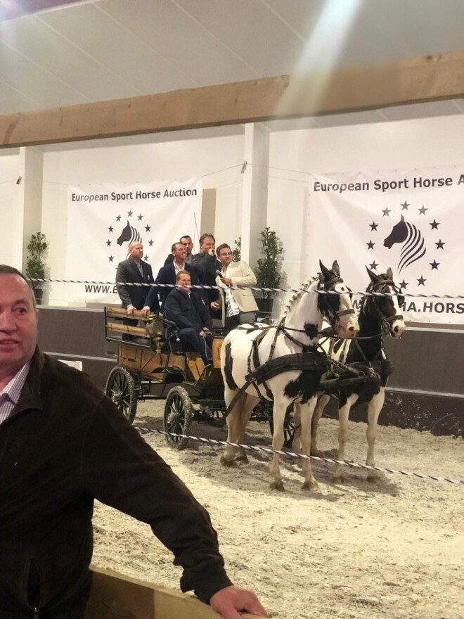 €43.000 voor veilingtopper ESHA!