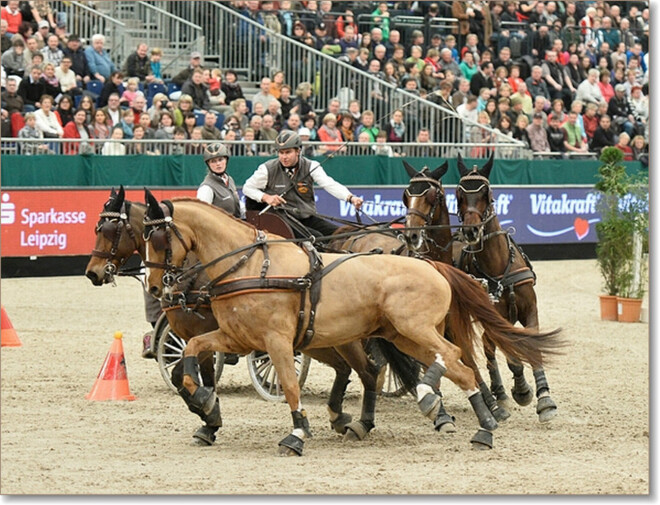 Koos de Ronde wint WB Leipzig