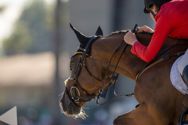 Filip Lacus wordt de nieuwe Chef d’equipe voor de jeugdteams jumping