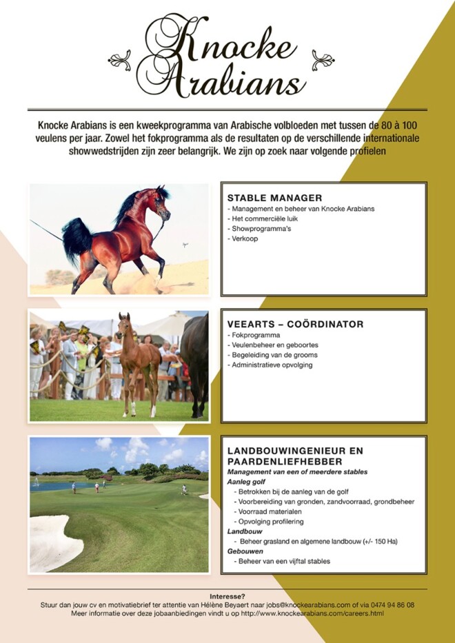 Vacatures bij Knocke Arabians