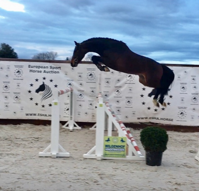 ESHA veilingtopper levert 21.000 euro op