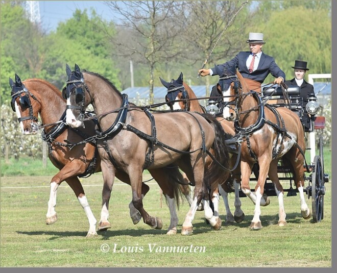 Menles met Glenn Geerts