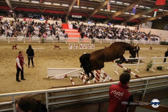SELECTIES VOOR DE VEILING FENCES 2018