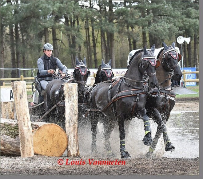 De Belgen in Kronenberg