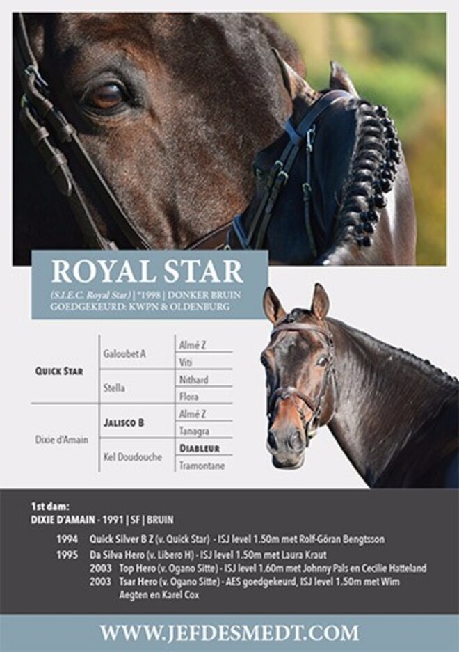 Nu beschikbaar : Royal Star !