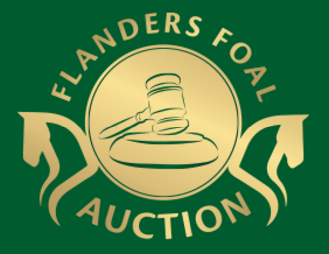 Selectiecomité Flanders Foal Auction op rond
