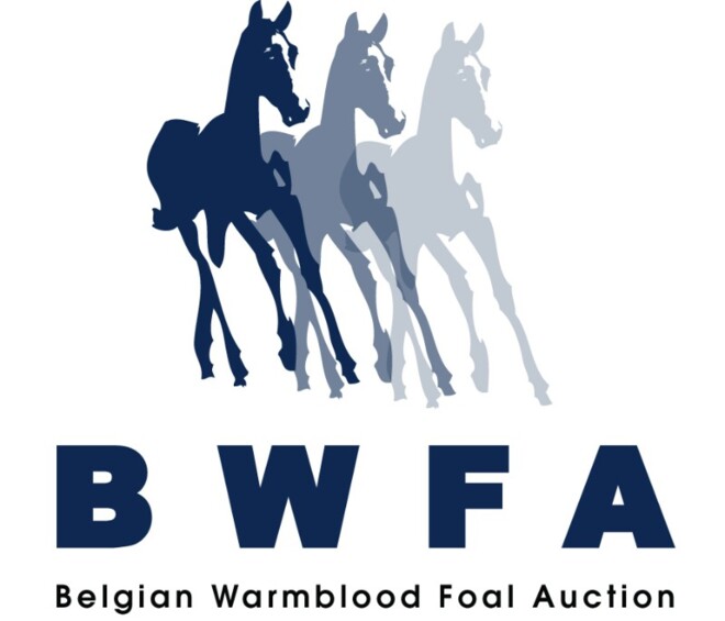 BWFA selecties