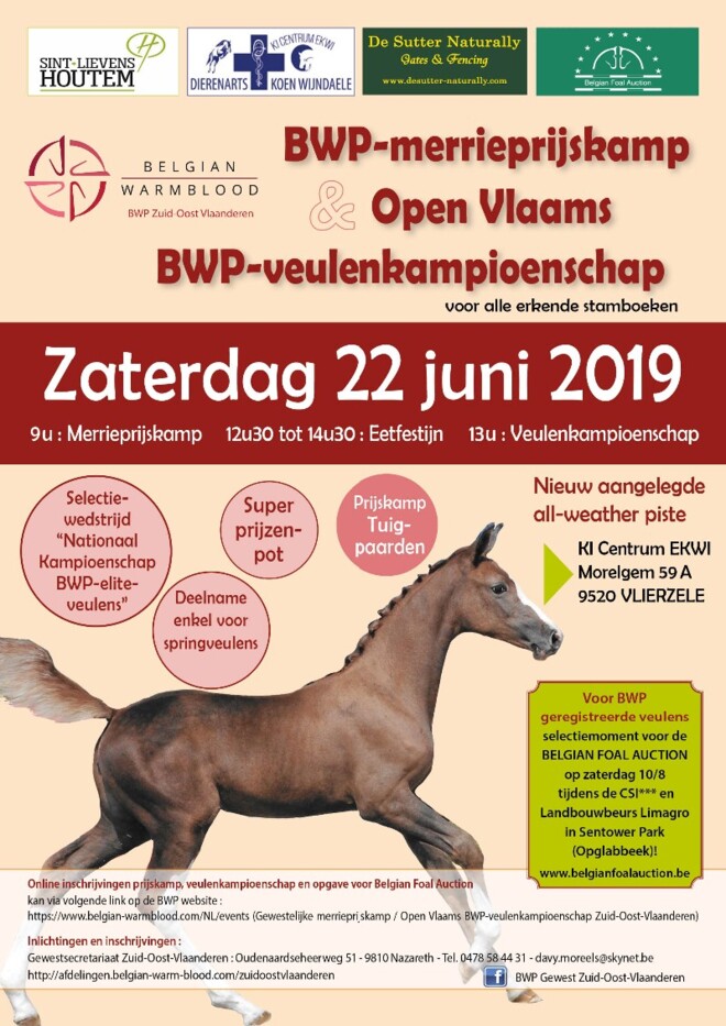 Veilingselectie BFA tijdens open veulenkamp.