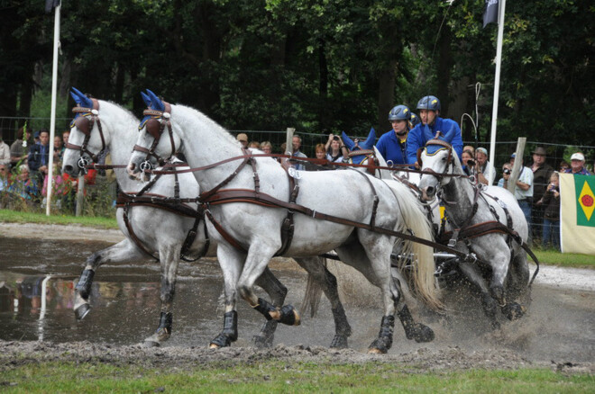 Beekbergen organiseert NK 4span paarden