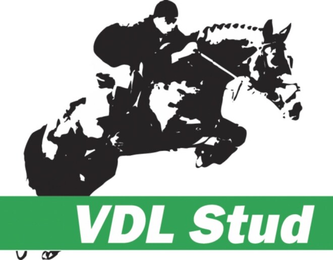 Met Keros naar hengstenshow VDL Stud