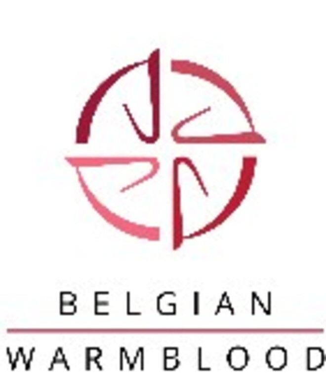Wedstrijd vrijspringen BWP Limburg op 2/04