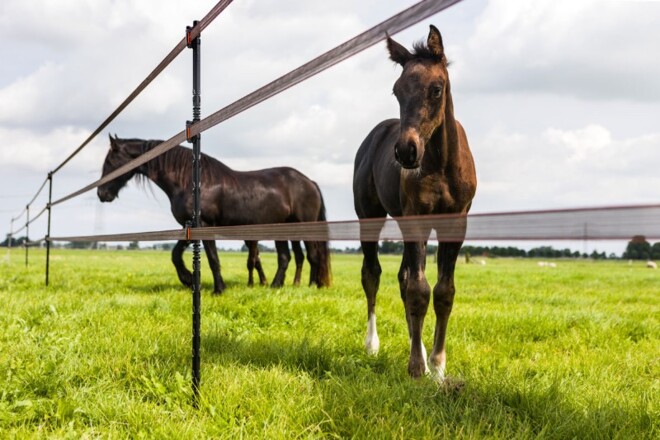 Gallaghers efficiënte  afrasteringsoplossing