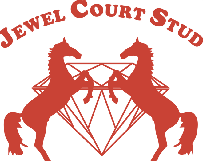 Jewel Court Stud zoekt fulltime home/showgroom!