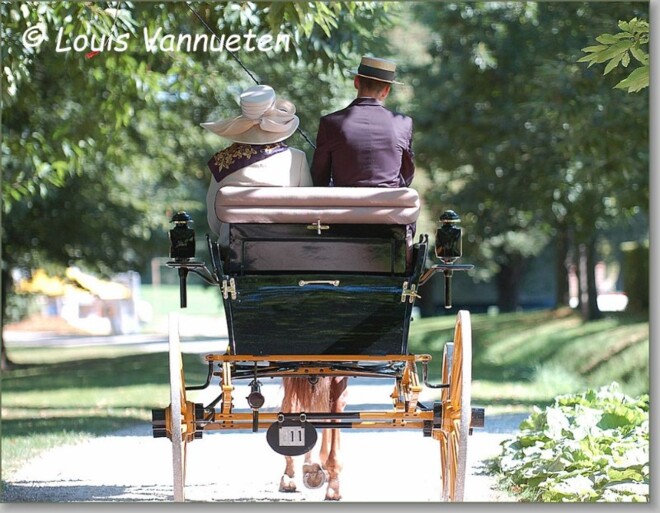 VLP ondersteunt Traditie en Elegantie rijden