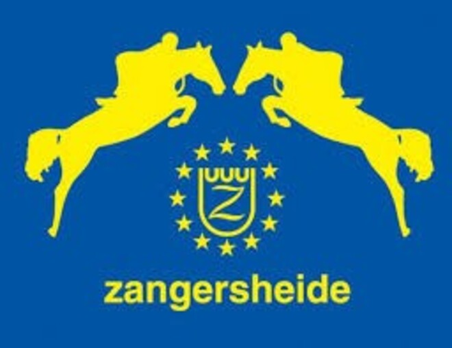 Stoeterij Zangersheide zoekt groom sportstal