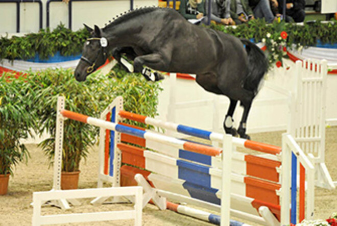 Clarence C terug in Belgie