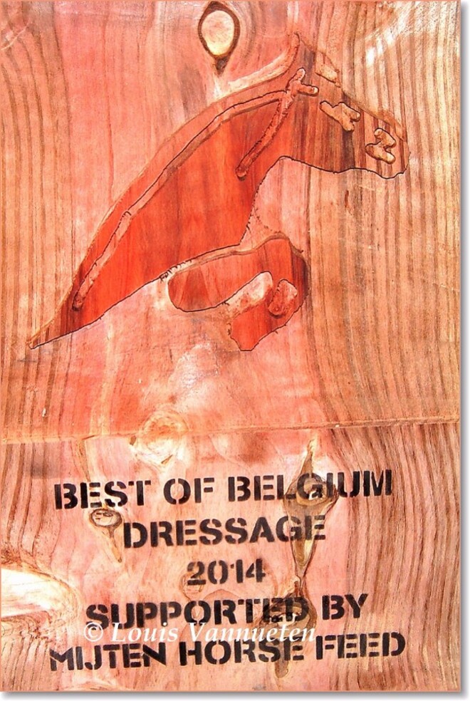 Terugblik Best of Belgium-Dressage 2014