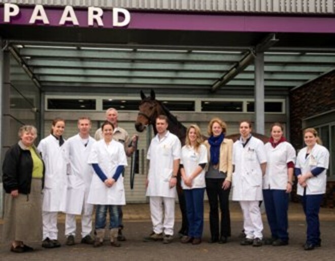 Toppaard Chardon met succes geopereerd aan koliek