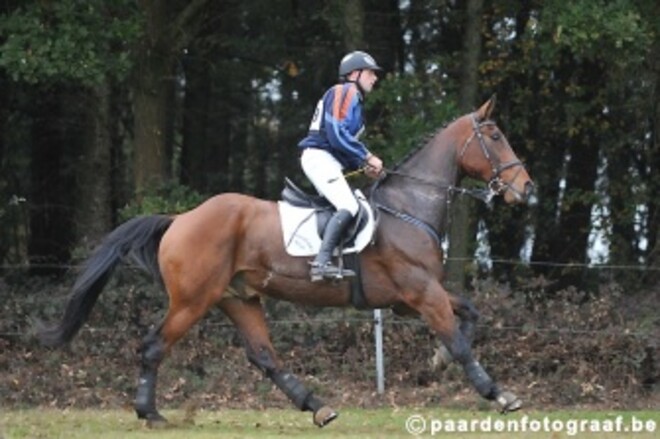 Sven Grouwels wint eventing in Overpelt