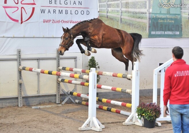 Josje vd Heffinck wint finale vrijspringen