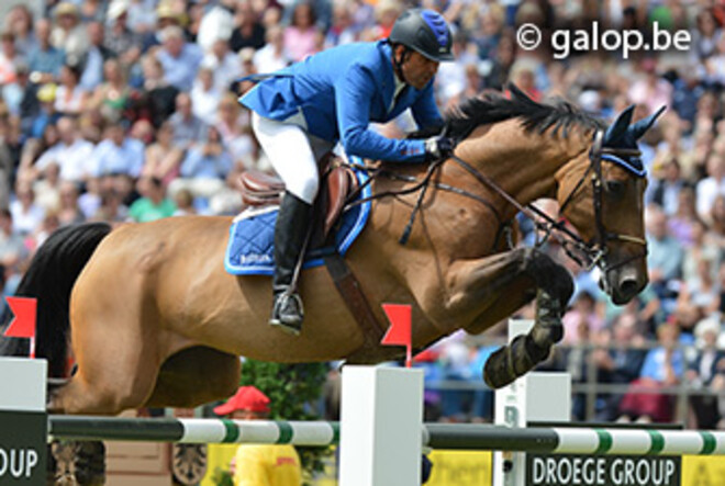 Belgische stamboeken vullen podium FTI Final Wellington