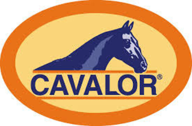 Cavalor huldigt Salinero voor zijn fantastische carrière samen met Anky Van Grunsven!